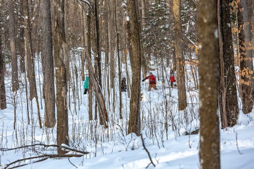 OSPREY WILDS | Winter Activities at Osprey Wilds… Hiking, Cross-Country Skiing, Snowshoeing & High Ropes