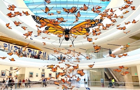 MALL OF AMERICA | “Ah! The Wonder that is the Butterfly!”  ﻿See the Exhibit at Mall of America
