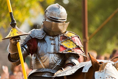 MN RENAISSANCE FESTIVAL | Join Us for Our 50th Season!
