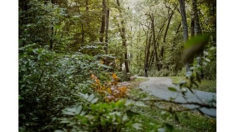 VISIT OWATONNA | Conquer the Trails!