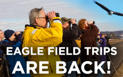 NATIONAL EAGLE CENTER | Bald & Golden Eagle Field Trips!