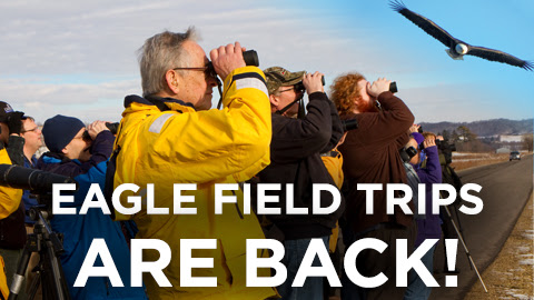 NATIONAL EAGLE CENTER | Bald & Golden Eagle Field Trips!